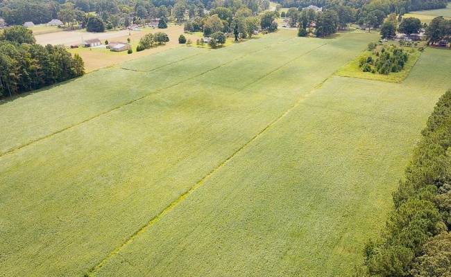 42.4 Acres Benefit Road, Chesapeake, VA 23322 photo 22