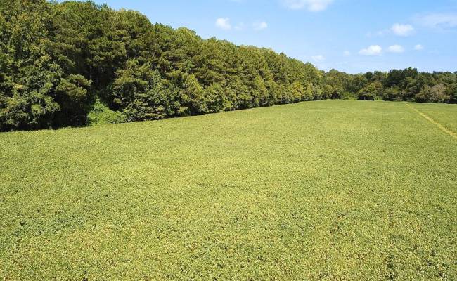 42.4 Acres Benefit Road, Chesapeake, VA 23322 photo 23