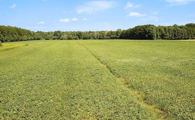 42.4 Acres Benefit Road, Chesapeake, VA 23322 photo 24