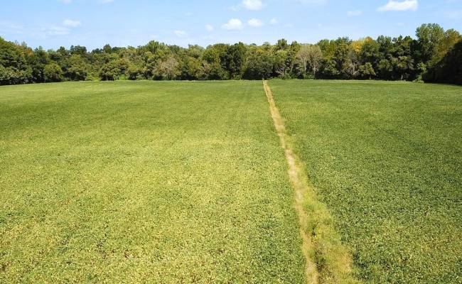 42.4 Acres Benefit Road, Chesapeake, VA 23322 photo 4