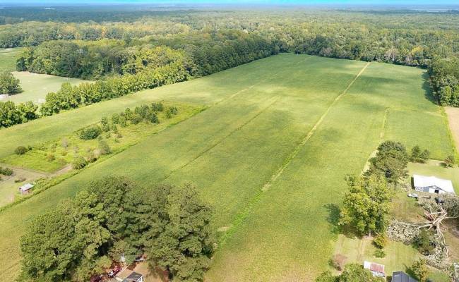 42.4 Acres Benefit Road, Chesapeake, VA 23322 photo 5