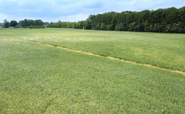42.4 Acres Benefit Road, Chesapeake, VA 23322 photo 7