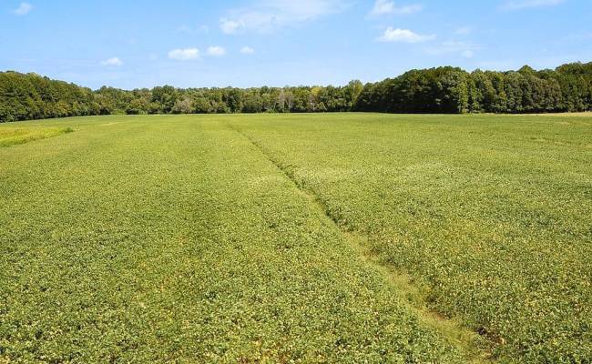 42.4 Acres Benefit Road, Chesapeake, VA 23322 photo 9