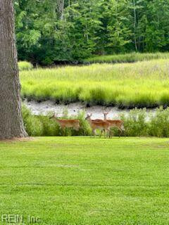 Photo 5 of 49 residential for sale in Chesapeake virginia