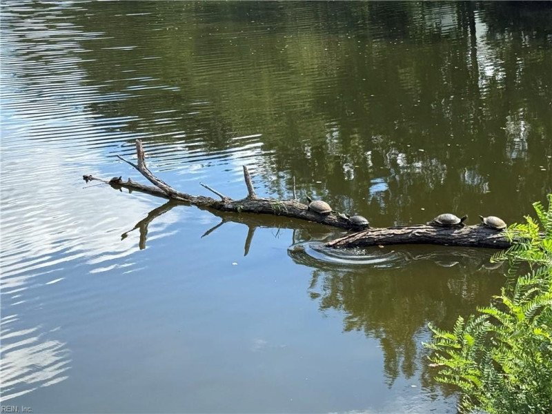 Photo 36 of 45 residential for sale in Chesapeake virginia