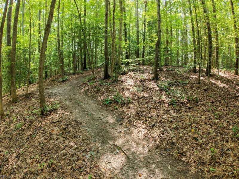 Photo 40 of 50 residential for sale in Gloucester County virginia