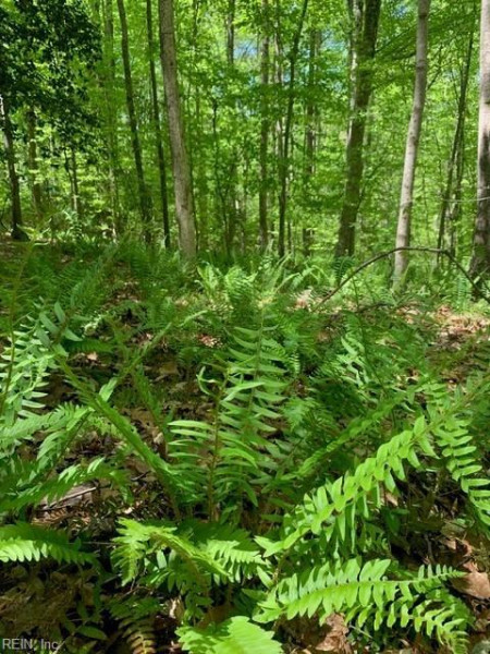 Photo 43 of 50 residential for sale in Gloucester County virginia
