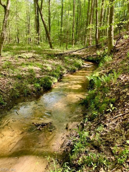 Photo 44 of 50 residential for sale in Gloucester County virginia