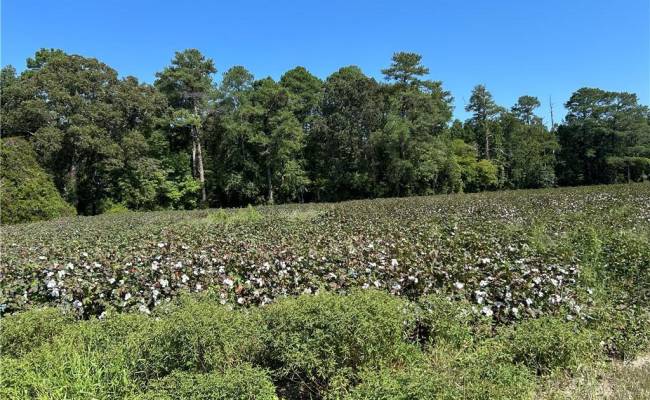 12 Ac Tar Road, Isle of Wight County, VA 23487