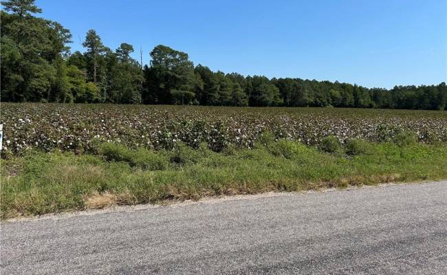 12 Ac Tar Road, Isle of Wight County, VA 23487