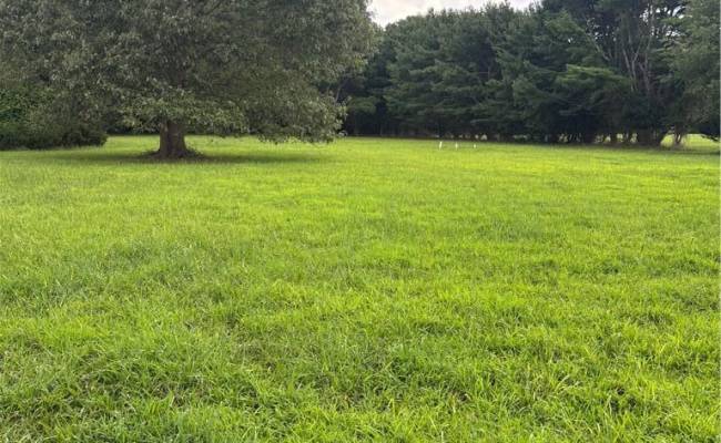Lot 7 Clearview Road, Northampton County, VA 23350
