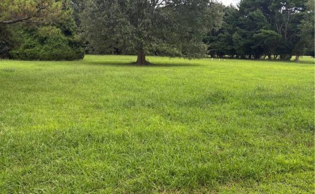 Lot 7 Clearview Road, Northampton County, VA 23350