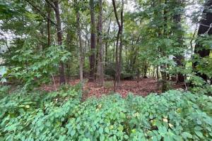 .45AC MAPLE Drive, Chesapeake, VA 23321