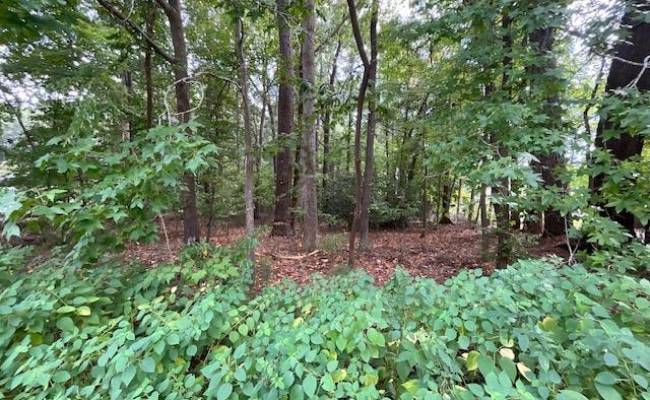 .45AC MAPLE Drive, Chesapeake, VA 23321