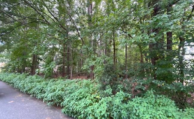 .45AC MAPLE Drive, Chesapeake, VA 23321 photo 2