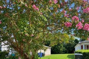 139 Filbert Street, Norfolk, VA 23505