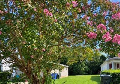 139 Filbert Street, Norfolk, VA 23505
