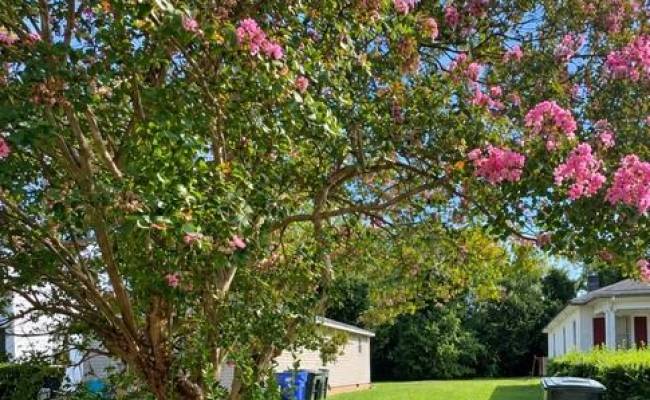 139 Filbert Street, Norfolk, VA 23505