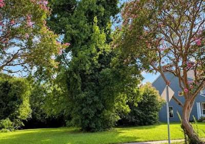 201 Filbert Street, Norfolk, VA 23505