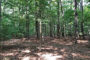 6628 Blackwater Road, Virginia Beach, VA 23457