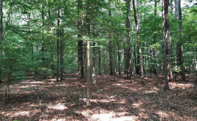 6628 Blackwater Road, Virginia Beach, VA 23457