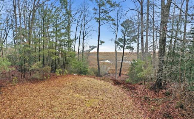 000 High Bluff Lane, New Kent County, VA 23011 photo 16