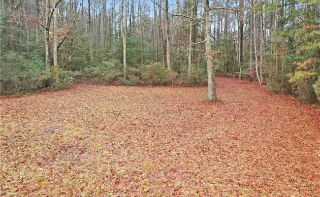 000 High Bluff Lane, New Kent County, VA 23011 photo 18