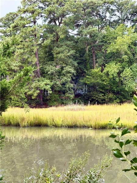 Photo 42 of 42 residential for sale in Norfolk virginia Photo 42 of 42 residential for sale in Norfolk virginia