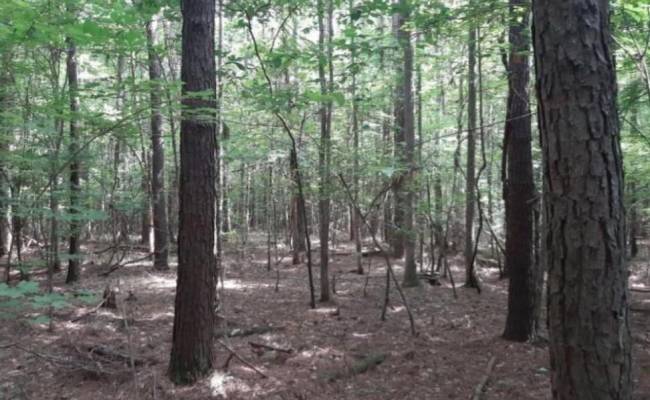 6636 Blackwater Road, Virginia Beach, VA 23457