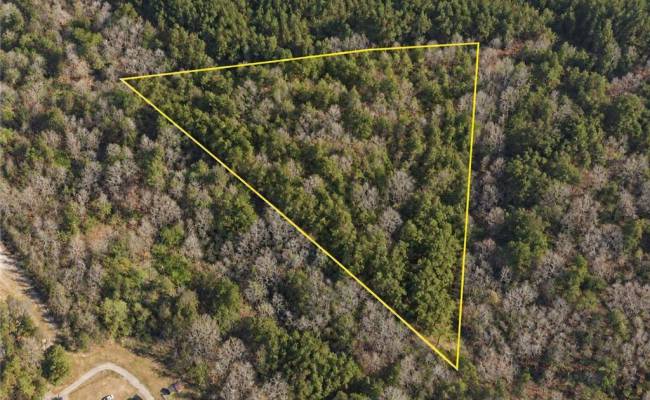 0 Benthall Bridge Road, Hertford County, NC 27855
