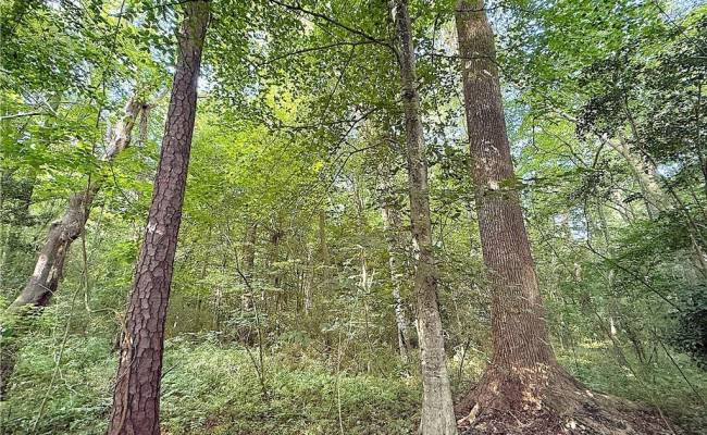 7 Ac Clay Street, Franklin, VA 23851 photo 17