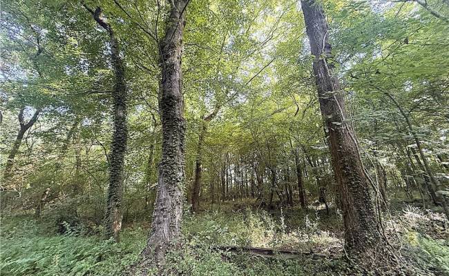 7 Ac Clay Street, Franklin, VA 23851 photo 18