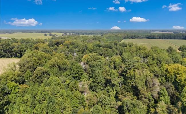 7 Ac Clay Street, Franklin, VA 23851 photo 21