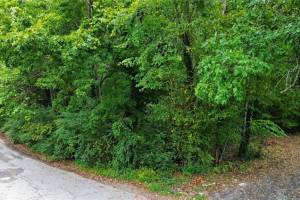 412 Fulcher Street, Suffolk, VA 23434