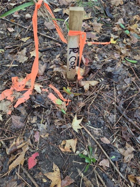 Photo 6 of 6 land for sale in Chesapeake virginia Photo 6 of 6 land for sale in Chesapeake virginia