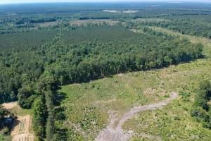 19041 The Glebe Lane, Charles City County, VA 23030
