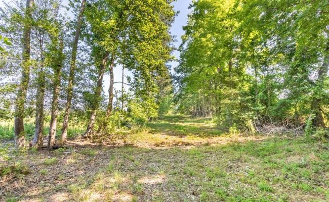 19041 The Glebe Lane, Charles City County, VA 23030 photo 10