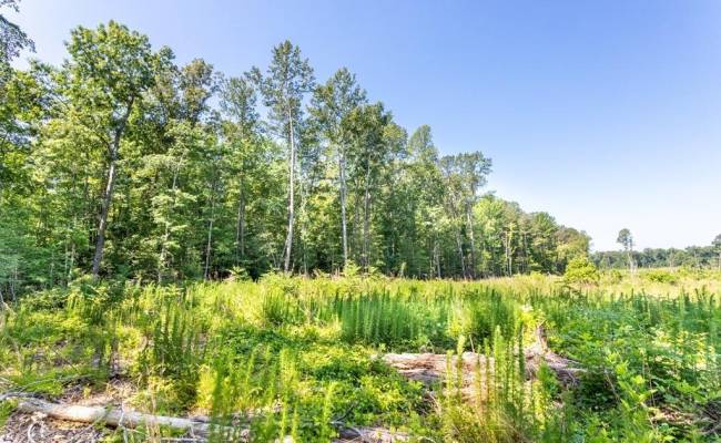 19041 The Glebe Lane, Charles City County, VA 23030 photo 11