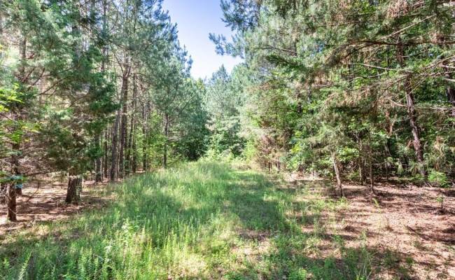 19041 The Glebe Lane, Charles City County, VA 23030 photo 12