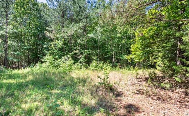 19041 The Glebe Lane, Charles City County, VA 23030 photo 13