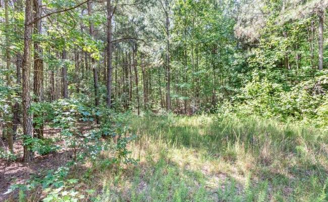 19041 The Glebe Lane, Charles City County, VA 23030 photo 14