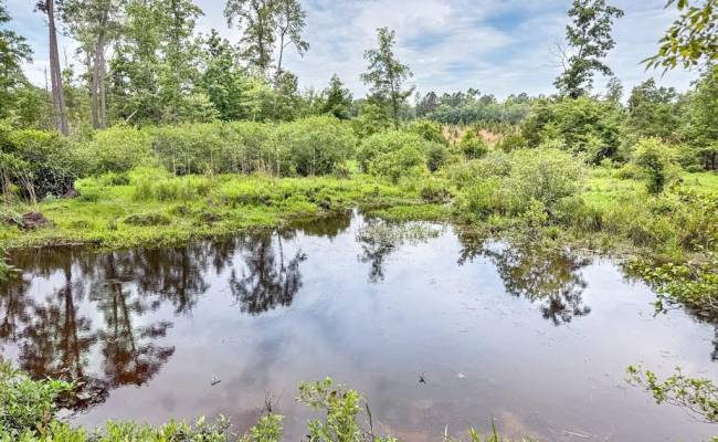 19041 The Glebe Lane, Charles City County, VA 23030 photo 18