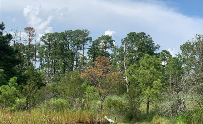 0000 Carmines Island Road, Gloucester County, VA 23072