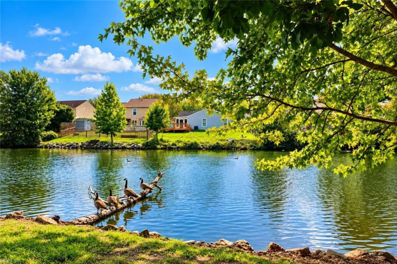 Photo 4 of 33 residential for sale in Virginia Beach virginia
