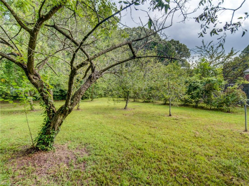 Photo 40 of 50 residential for sale in Chesapeake virginia
