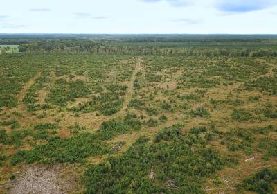 193 Acres Saxis Road, Accomack County, VA 23427