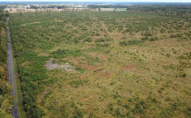 193 Acres Saxis Road, Accomack County, VA 23427
