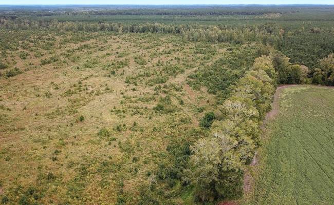 193 Acres Saxis Road, Accomack County, VA 23427