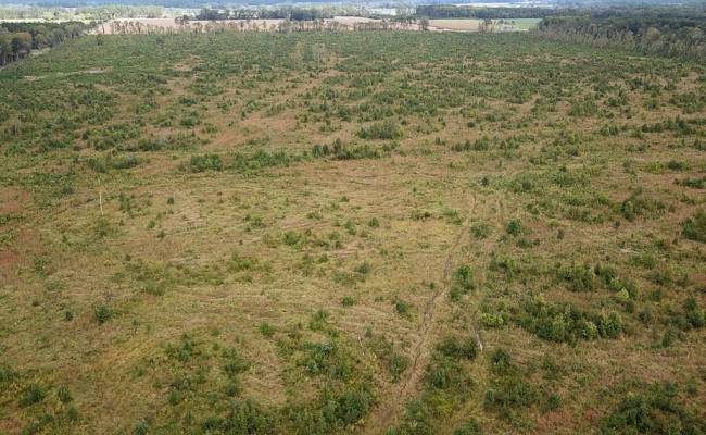 193 Acres Saxis Road, Accomack County, VA 23427