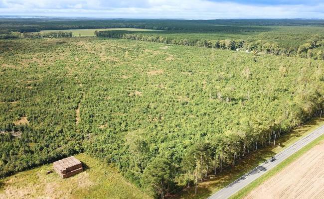 193 Acres Saxis Road, Accomack County, VA 23427